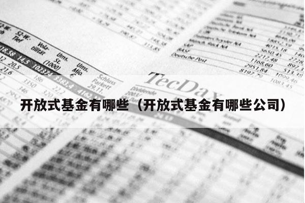 开放式基金有哪些（开放式基金有哪些公司）