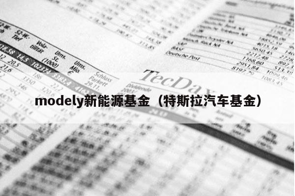 modely新能源基金（特斯拉汽车基金）