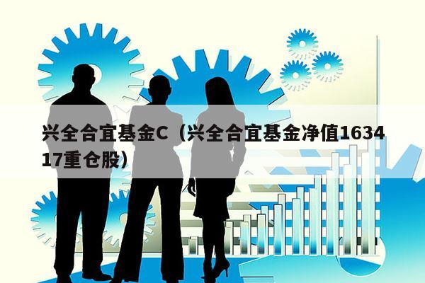 兴全合宜基金C（兴全合宜基金净值163417重仓股）