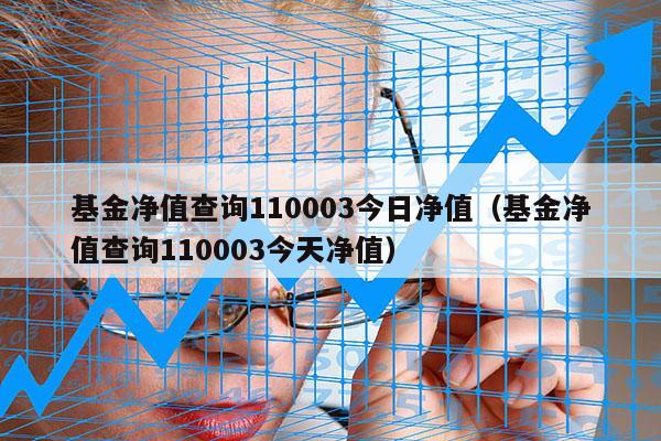 基金净值查询110003今日净值（基金净值查询110003今天净值）