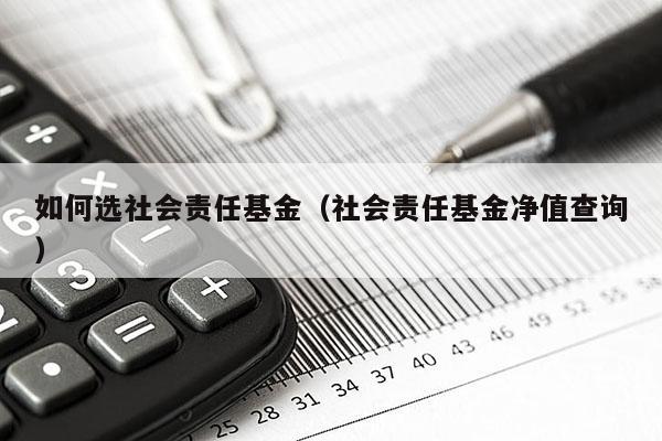 如何选社会责任基金（社会责任基金净值查询）