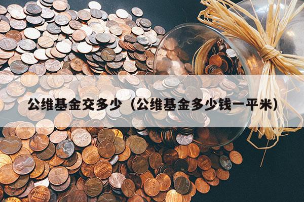 公维基金交多少（公维基金多少钱一平米）