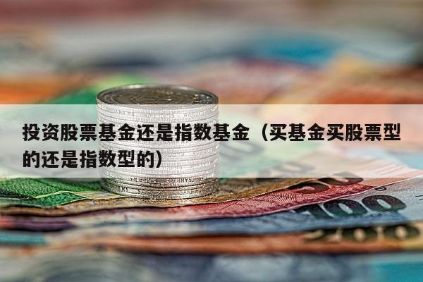 投资股票基金还是指数基金（买基金买股票型的还是指数型的）