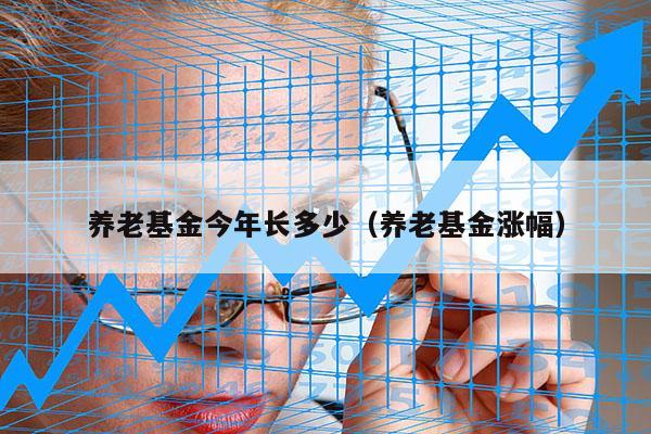 养老基金今年长多少（养老基金涨幅）