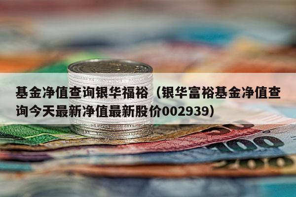 基金净值查询银华福裕（银华富裕基金净值查询今天最新净值最新股价002939）