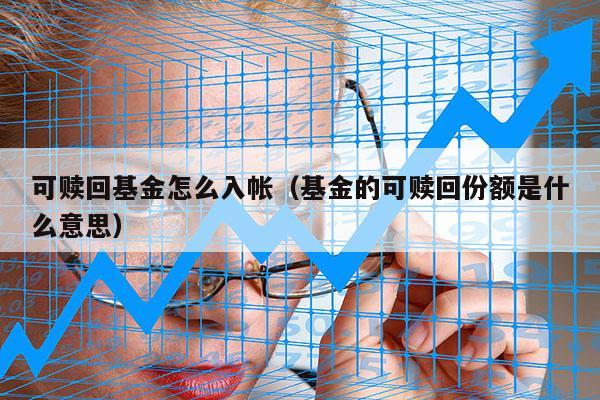 可赎回基金怎么入帐（基金的可赎回份额是什么意思）