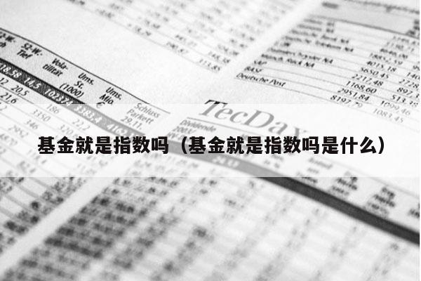 基金就是指数吗（基金就是指数吗是什么）