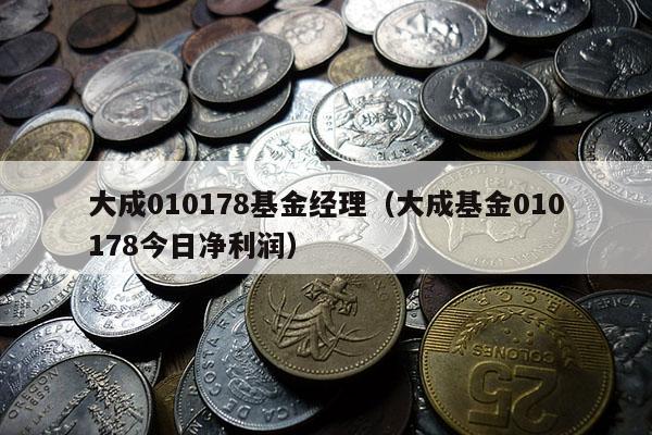 大成010178基金经理（大成基金010178今日净利润）