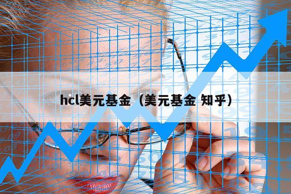 hcl美元基金（美元基金 知乎）