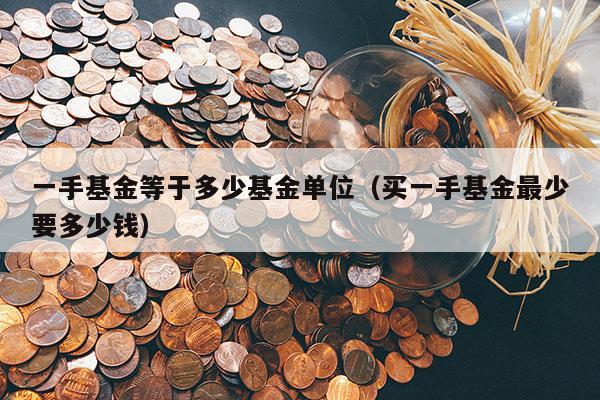 一手基金等于多少基金单位（买一手基金最少要多少钱）