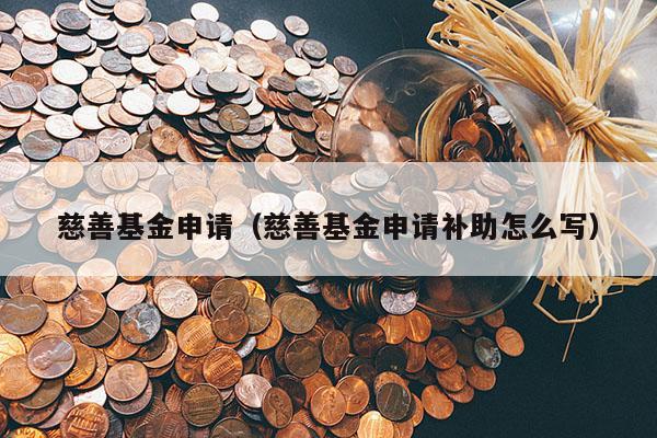 慈善基金申请（慈善基金申请补助怎么写）