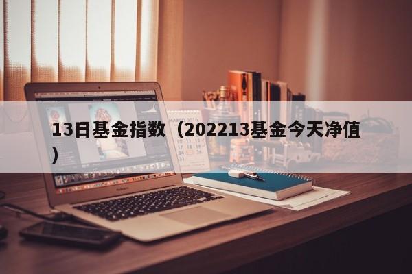 13日基金指数（202213基金今天净值）