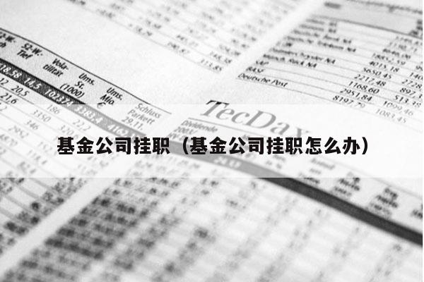 基金公司挂职（基金公司挂职怎么办）