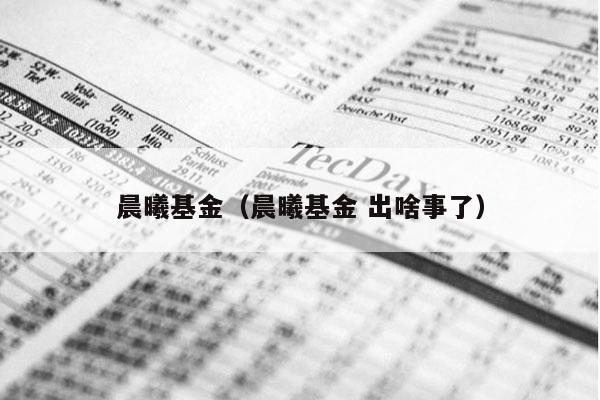 晨曦基金（晨曦基金 出啥事了）