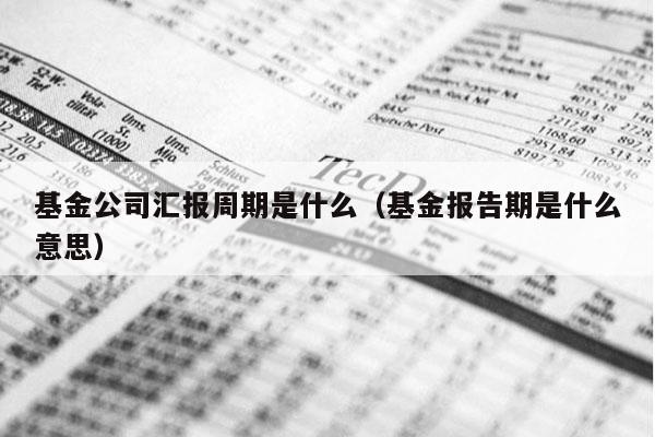 基金公司汇报周期是什么（基金报告期是什么意思）