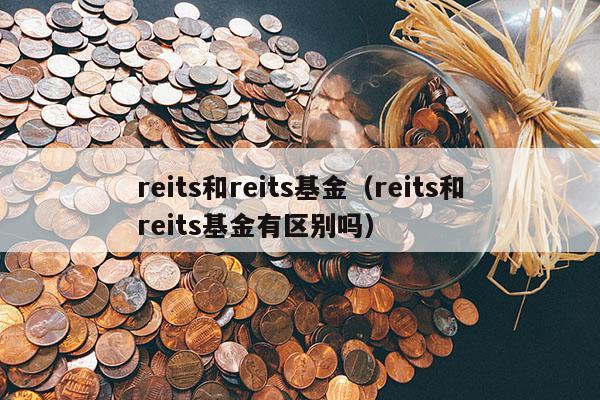 reits和reits基金（reits和reits基金有区别吗）