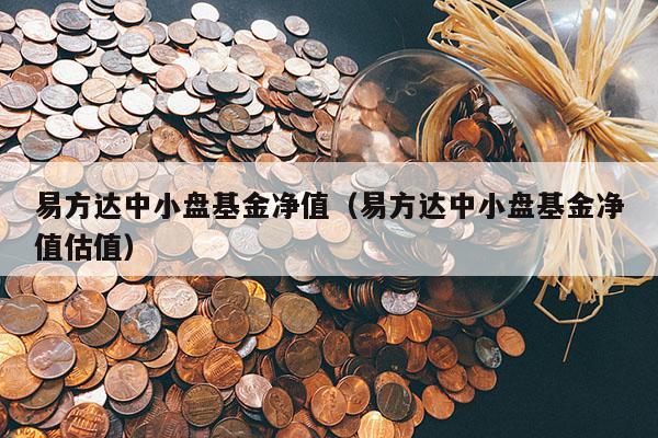 易方达中小盘基金净值（易方达中小盘基金净值估值）