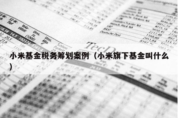 小米基金税务筹划案例（小米旗下基金叫什么）