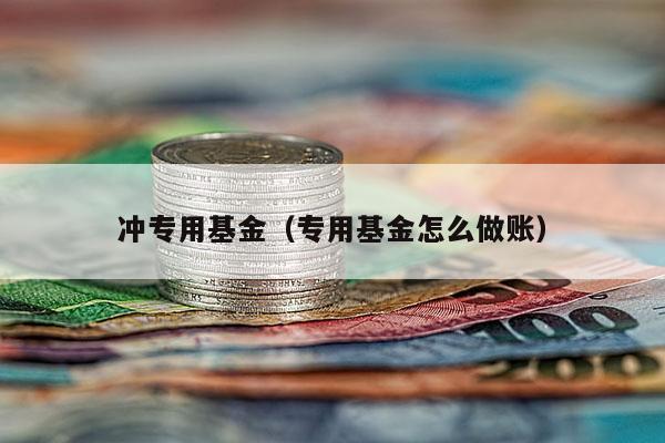 冲专用基金（专用基金怎么做账）