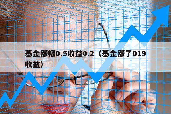 基金涨幅0.5收益0.2（基金涨了019收益）