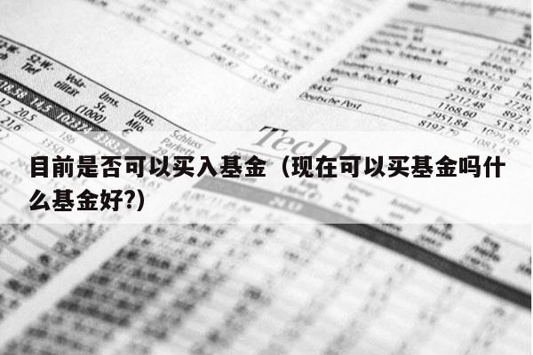 目前是否可以买入基金（现在可以买基金吗什么基金好?）