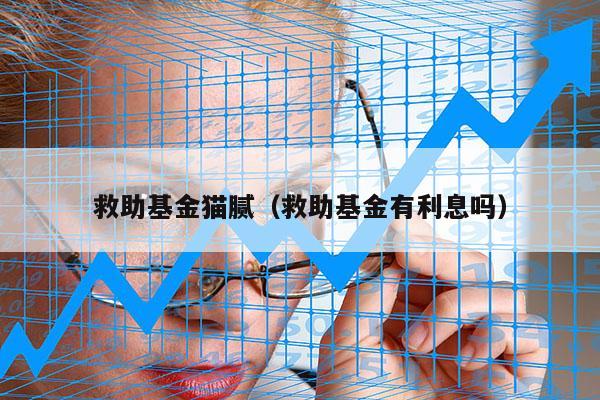 救助基金猫腻（救助基金有利息吗）