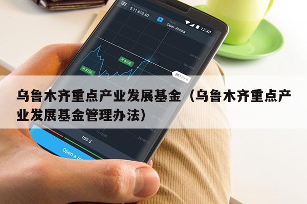 乌鲁木齐重点产业发展基金（乌鲁木齐重点产业发展基金管理办法）