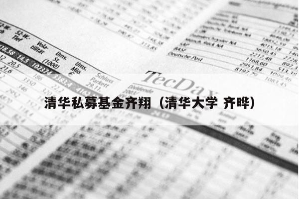 清华私募基金齐翔（清华大学 齐晔）