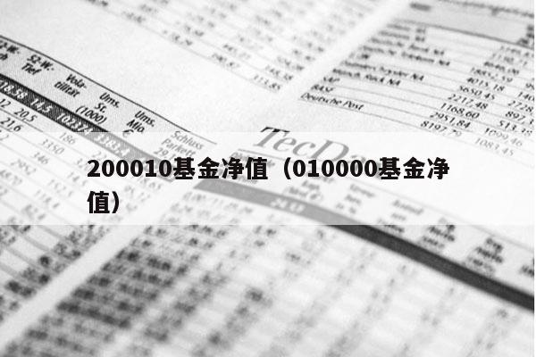 200010基金净值（010000基金净值）