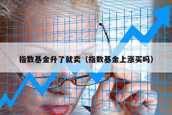 指数基金升了就卖（指数基金上涨买吗）