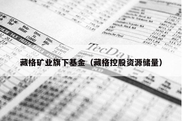 藏格矿业旗下基金（藏格控股资源储量）