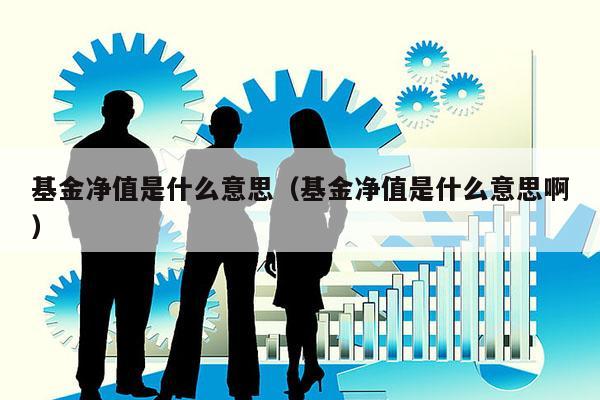 基金净值是什么意思（基金净值是什么意思啊）