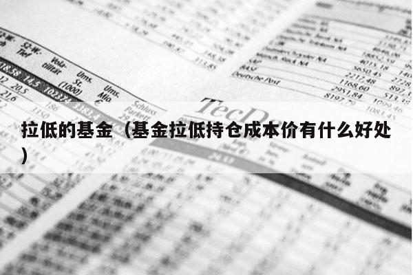 拉低的基金（基金拉低持仓成本价有什么好处）