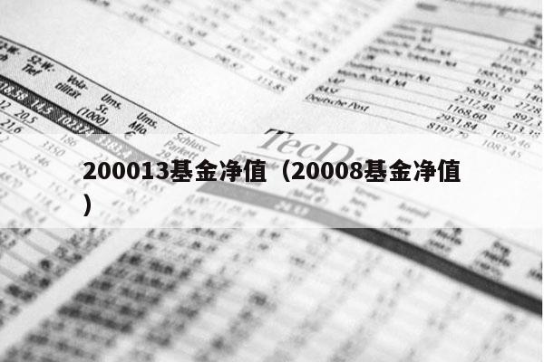 200013基金净值（20008基金净值）