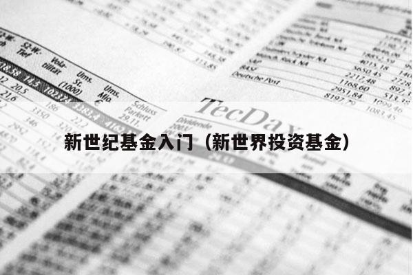 新世纪基金入门（新世界投资基金）