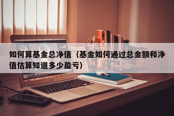 如何算基金总净值（基金如何通过总金额和净值估算知道多少盈亏）