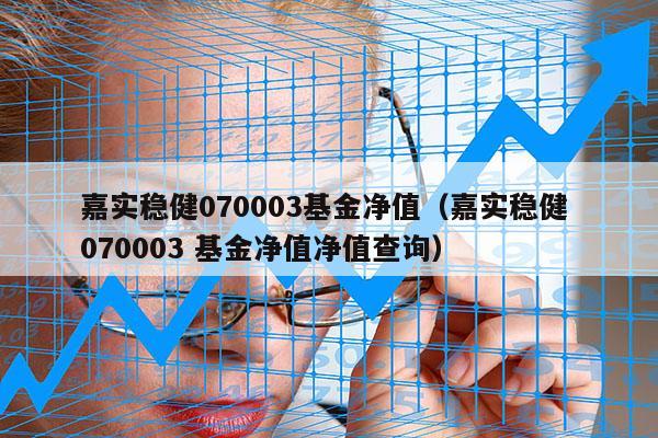 嘉实稳健070003基金净值（嘉实稳健 070003 基金净值净值查询）