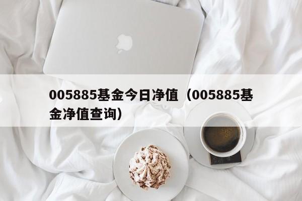 005885基金今日净值（005885基金净值查询）