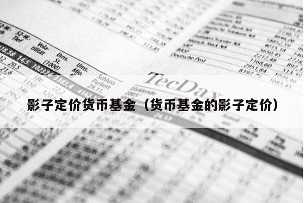 影子定价货币基金（货币基金的影子定价）