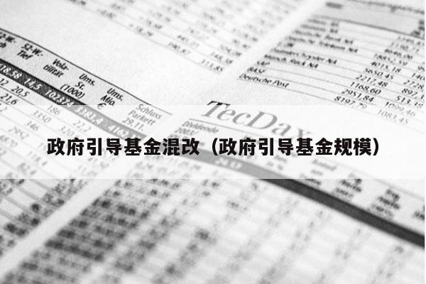 政府引导基金混改（政府引导基金规模）