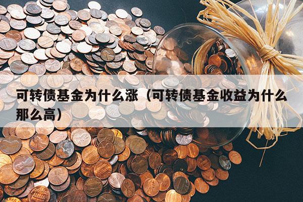 可转债基金为什么涨（可转债基金收益为什么那么高）