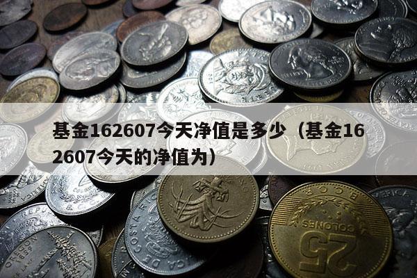 基金162607今天净值是多少（基金162607今天的净值为）