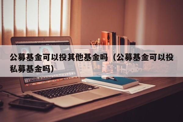 公募基金可以投其他基金吗（公募基金可以投私募基金吗）