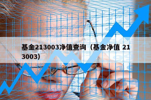 基金213003净值查询（基金净值 213003）