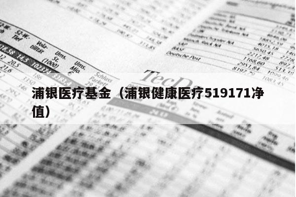 浦银医疗基金（浦银健康医疗519171净值）