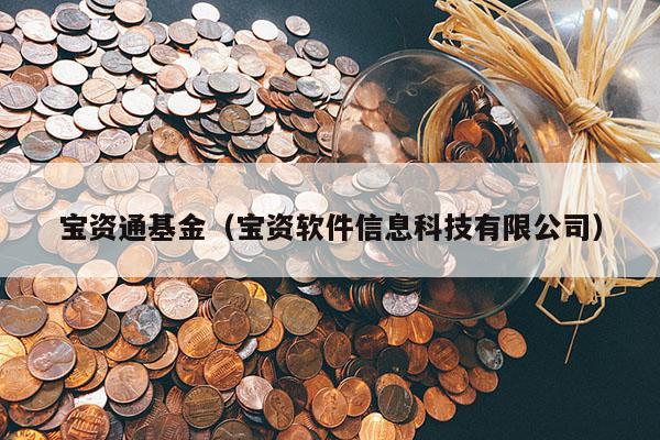 宝资通基金（宝资软件信息科技有限公司）
