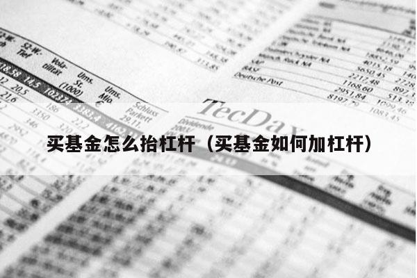 买基金怎么抬杠杆（买基金如何加杠杆）