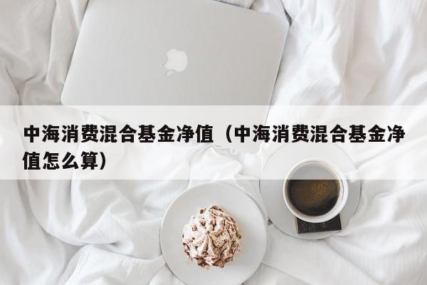 中海消费混合基金净值（中海消费混合基金净值怎么算）
