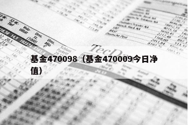 基金470098（基金470009今日净值）