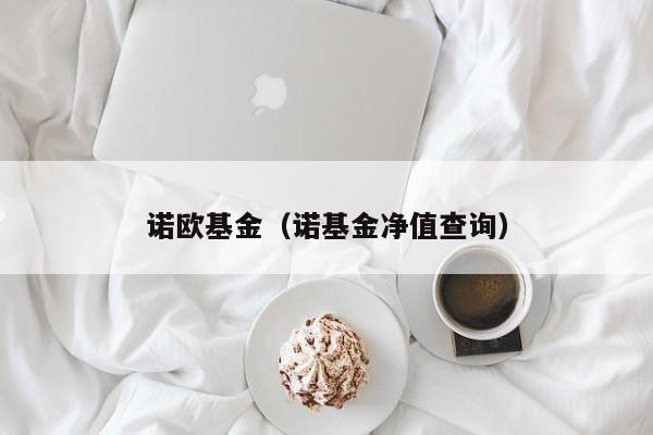 诺欧基金（诺基金净值查询）